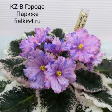KZ-В Городе Париже (Заикина)